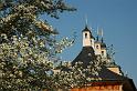 2009-04-16, Pillnitz (2)
